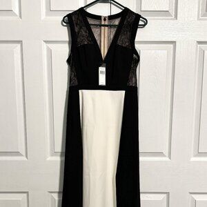 BCBG MaxAzria Oudette satin and lace dress